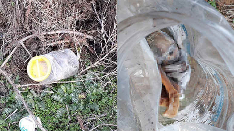 Kan donduran olay: Plastik bidonda bebek cesedi!