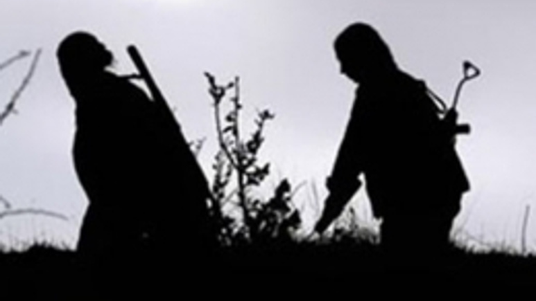 Muş'ta PKK 7 okula saldırdı