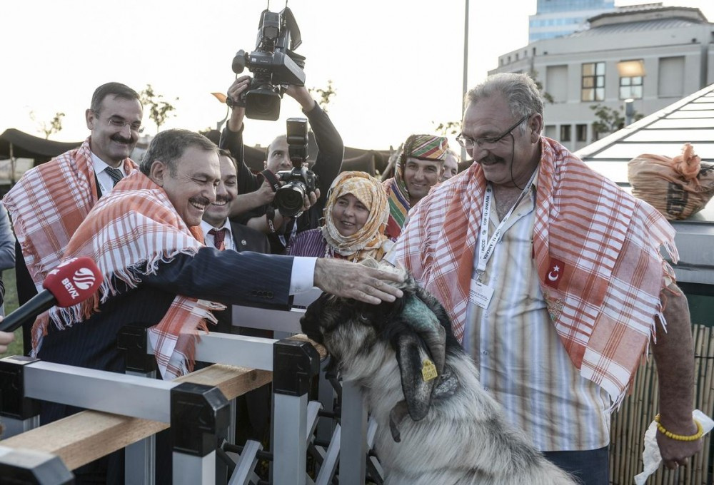 Renkli anlar! Bakan Eroğlu kavalı aldı eline...