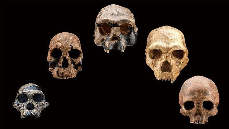 200 bin yıl sonra insan vücudu nasıl olacak?