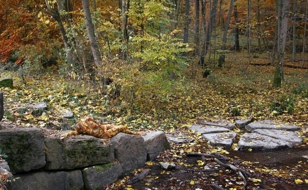 Peki siz fotoğraftaki kadınları gördünüz mü?