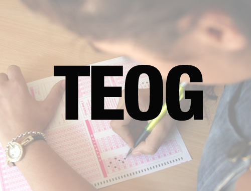 TEOG sınav soruları 2015 bu konulara dikkat!