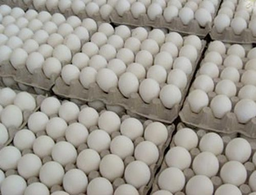  CHP'li Muharrem İnce'ye iki koli yumurta