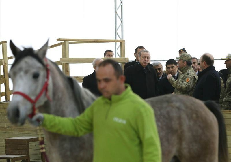 Erdoğan  atlı tedavi merkezini ziyaret etti