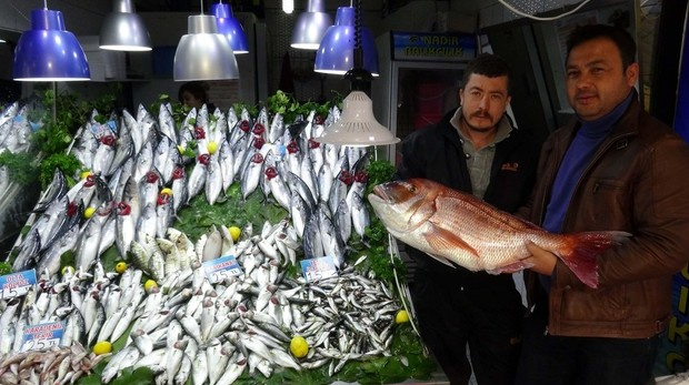 Amatör balıkçıdan dev yakalayış! Bu boyutta nadiren yakalanıyor