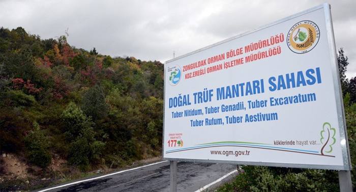 Zonguldak'ta bulundu kilosu 3 bin 500 euro