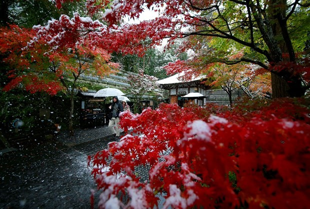 Japonya'da 54 yıl sonra bir ilk!