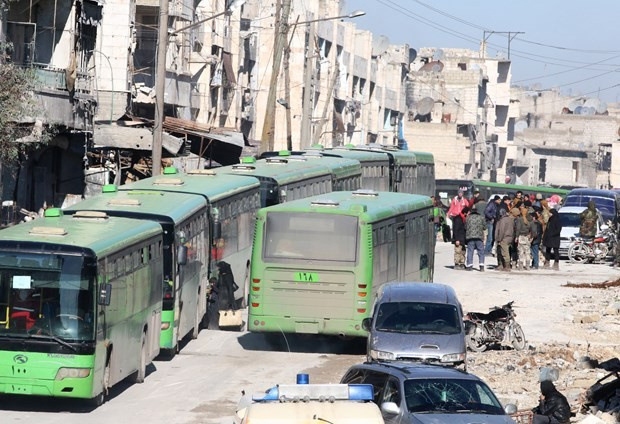 Halep'teki yeşil otobüsler neyin simgesi?