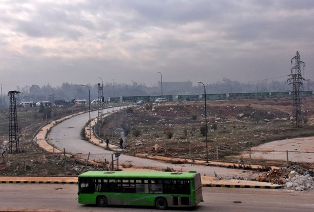 Halep'teki yeşil otobüsler neyin simgesi?