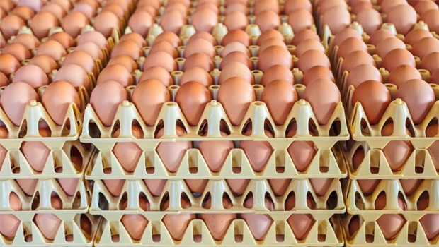 Yumurta fiyatını artıran 3 neden