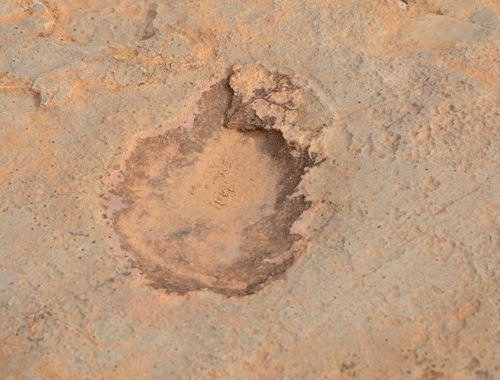 Bu ayak 150 milyon yıl öncesine ait yeni keşfedildi