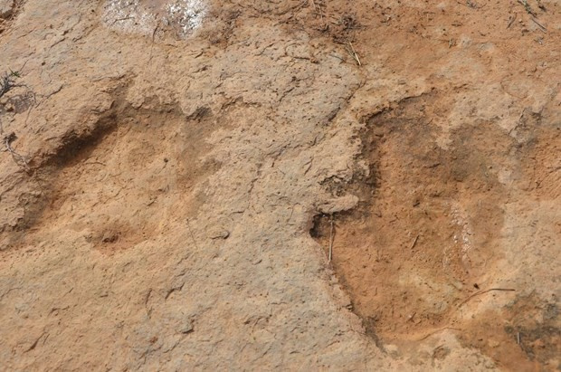 Bu ayak 150 milyon yıl öncesine ait yeni keşfedildi