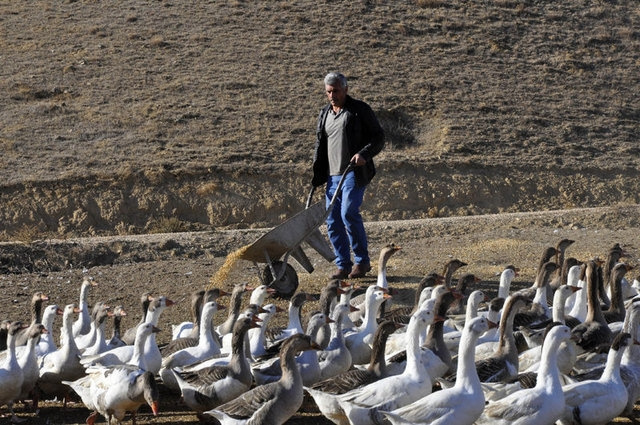 Hediyeye kıyamadı hayatı değişti