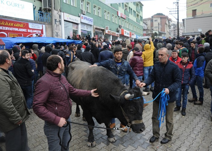 Cerattepe'de son durum polis müdahalesi başladı!