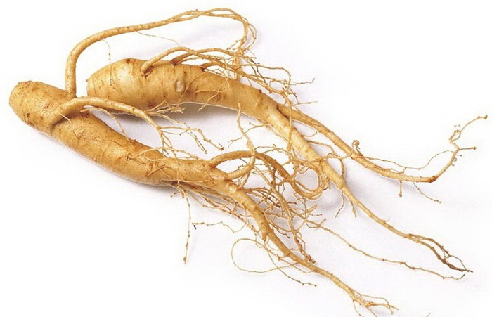 Cinsel güç dopingi! Nedir bu Ginseng çayı 