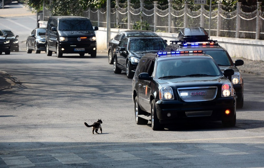 Erdoğan konvoyuna kedi sürprizi