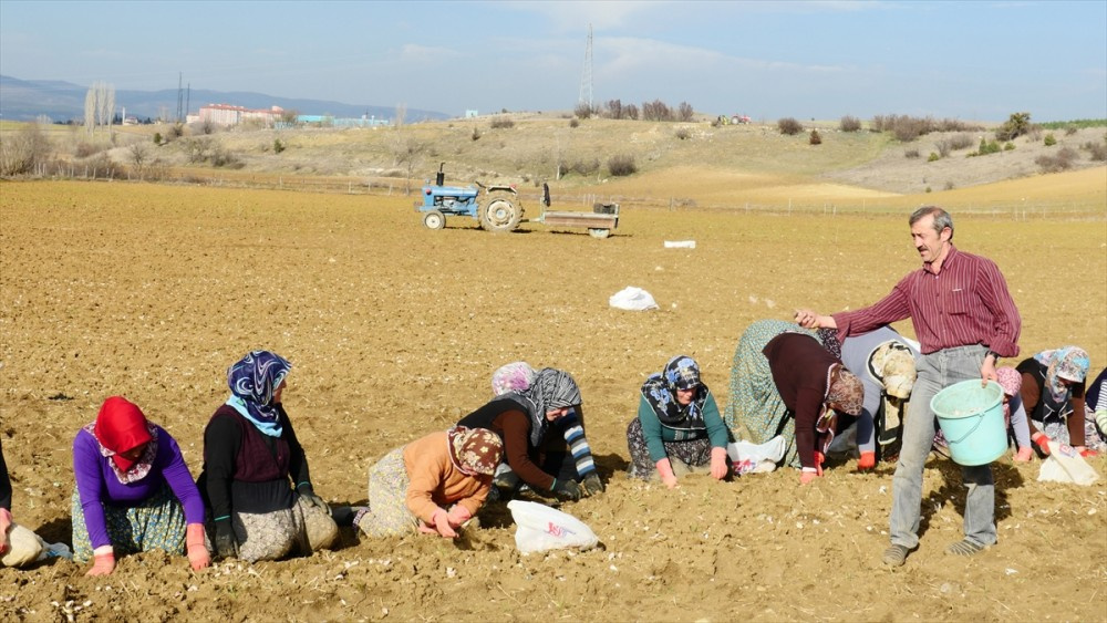 Kastamonu'da kadınlar sıraya girip tek tek...