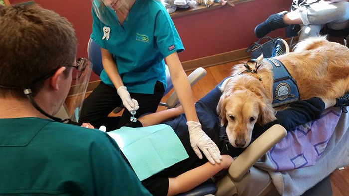 Bu diş doktorunun asistanı bir köpek