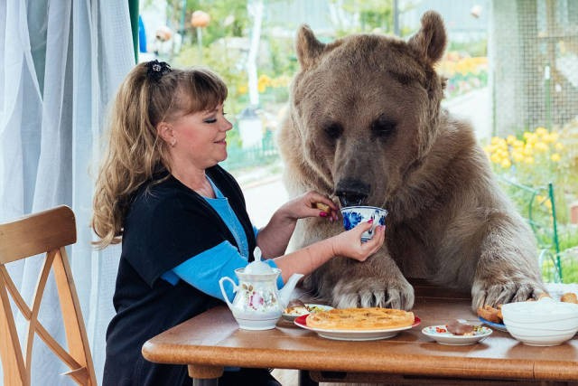 Onların evcil hayvanı 136 kiloluk bir ayı