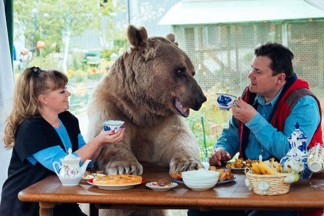Onların evcil hayvanı 136 kiloluk bir ayı
