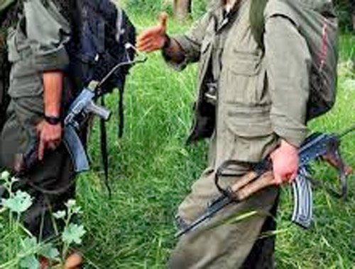 Muş'ta 3 PKK'lının cesedi bulundu