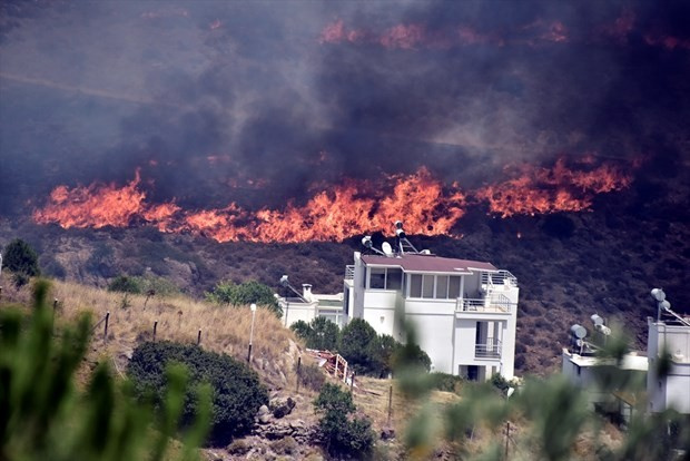 Bodrum'da 200 hektar cayır cayır yandı