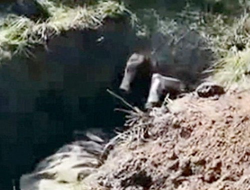 Ukraynalı askerler Rus ayrılıkçıyı diri diri gömdü