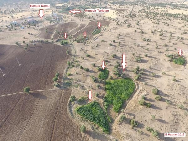 Lice operasyonu PKK 10 ayrı kamu arazisine kurmuş
