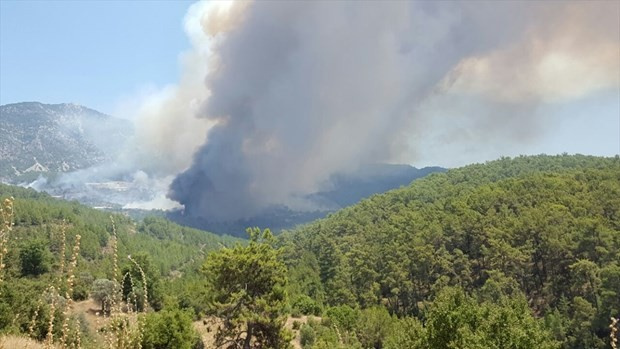 Antalya Kumluca alev alev yanıyor