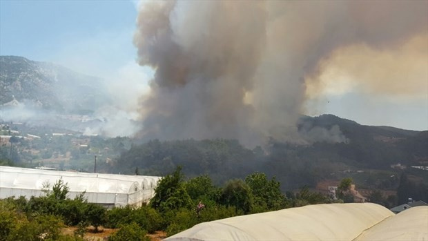 Antalya Kumluca alev alev yanıyor