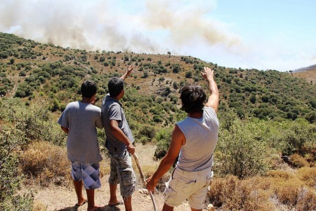 Bodrum'daki yangın kontrol altına alındı