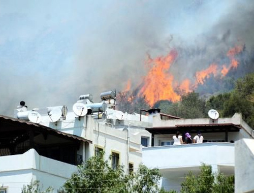 Amasya'daki yangında 500 fidan kül oldu