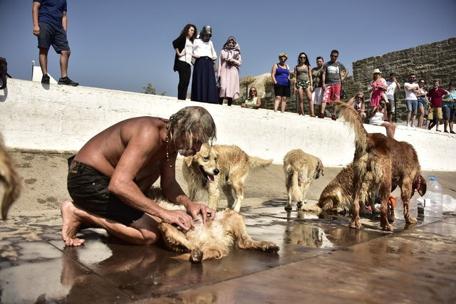 13 köpeği 'evlat edindi'