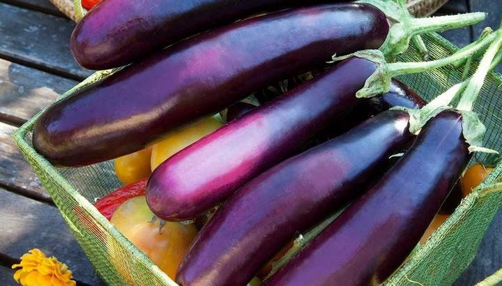 Patlıcan faydasız bir sebze mi? - Sağlık Haberleri