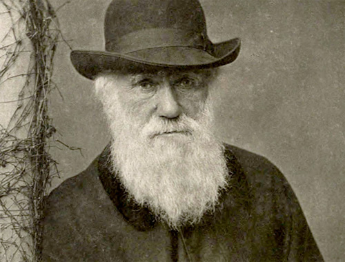 Evrim Teorisi ve Darwin müfredattan çıktı