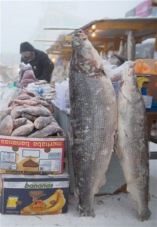 Yok artık eksi 64 derecede duş aldı