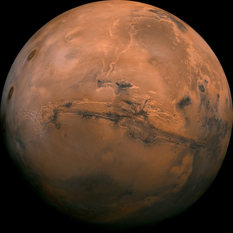 Mars'ta hayatta kalabilen canlı keşfedildi