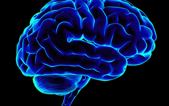 Beynin kıvrımları kişiliğinizi belirliyor