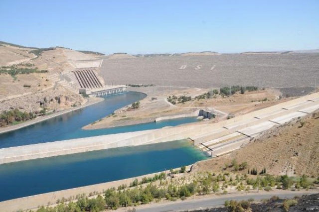 Türkiye’nin dev projesini bir kirpi durdurdu! Bakan açıkladı