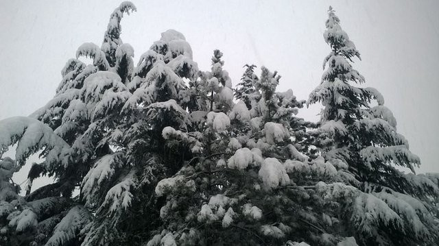 Valilikler açıkladı! Bu illerde okullar tatil