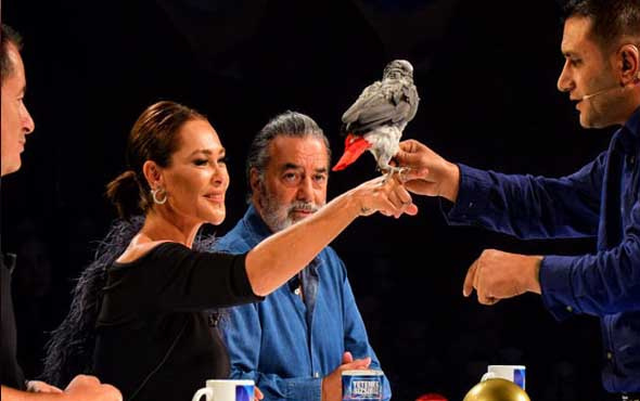 Yetenek Sizsiniz Türkiye'de Alper papağandan şaşkına çeviren gösteri