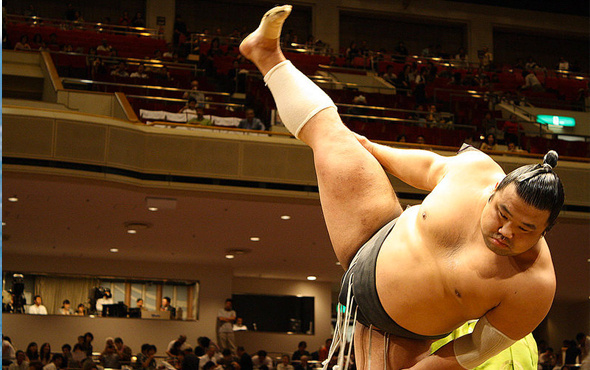 Yapay zeka sumo güreşmeyi öğrendi 