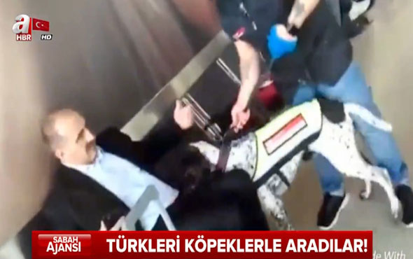 Avusturya polisi Türk yolcuları köpeklerle aradı!