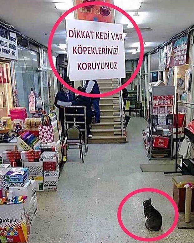 Plajda sırtına öyle bir şey yazdı ki görenler kameralara sarıldı