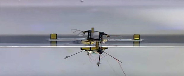 Suya dalıp çıkabilen robot arı geliştirildi!