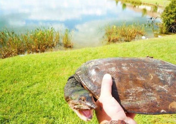 Bu fotoğrafa dikkatli bakın 1 saniye sonrası çok fena