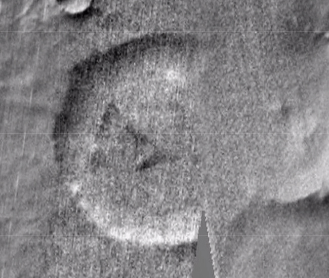 Mars'ta yaşamın kanıtı bu fotoğraf mı dünyayı sarsan kanıt