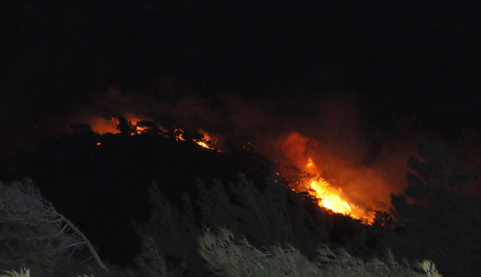 Datça'da orman yangını! Sahilde başladı dağın zirvesine çıktı