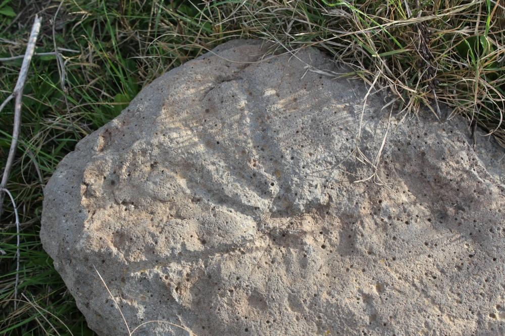 Kayı Boyu damgalı mezar taşları bulundu