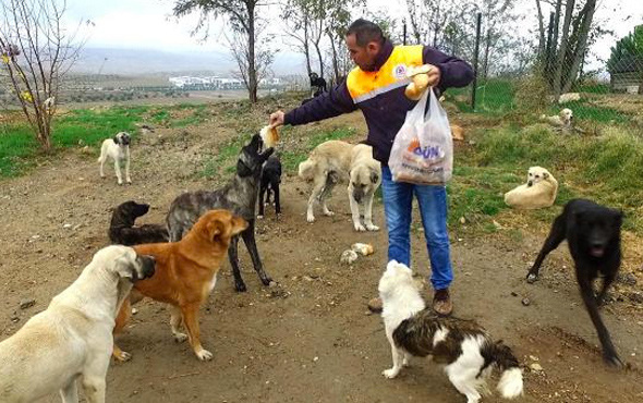 Bayat ekmekler çöpe gitmesin dediler yaptıkları kampanyaya bakın